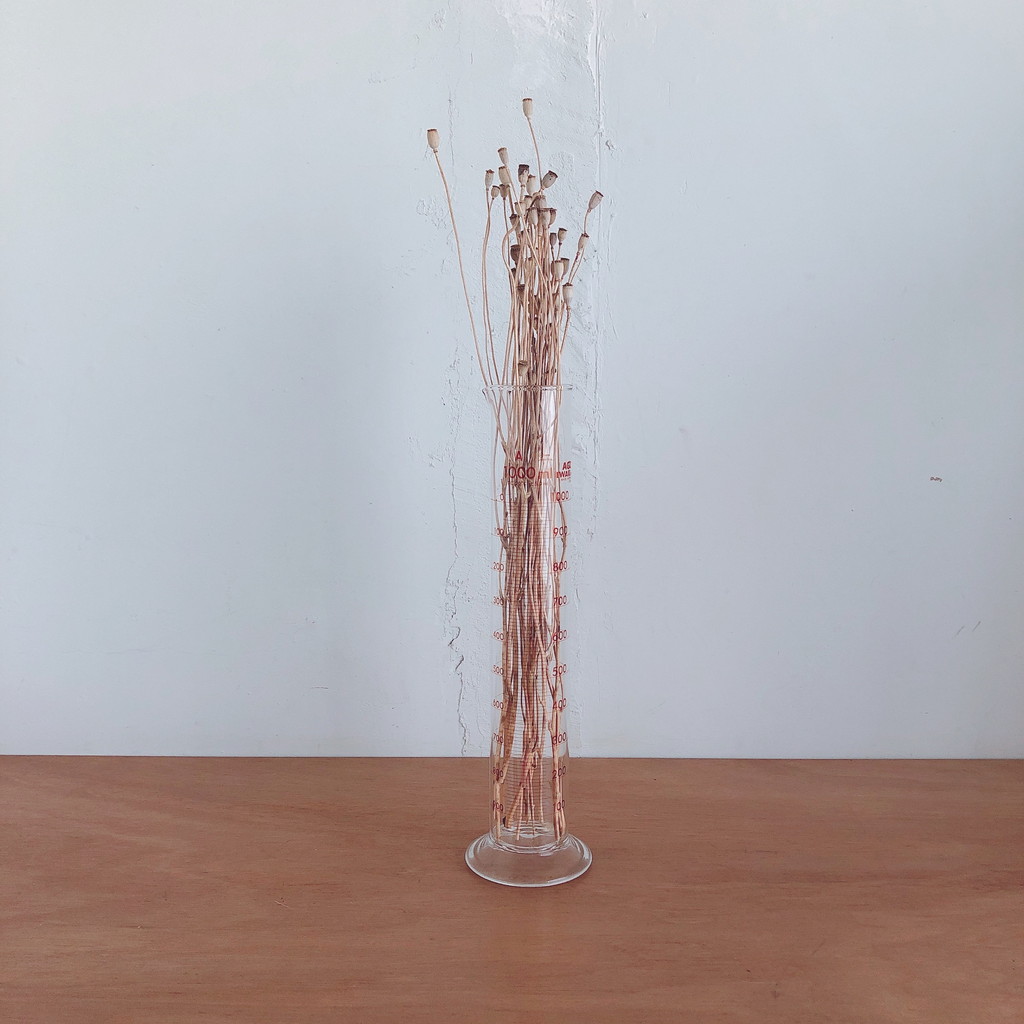 IWAKI メスシリンダー ニュースタンダード 1000ML | リカシツ
